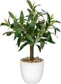 Briful 15 Inch Small Artificial Olive Tree in White Pot Tabletop Decor