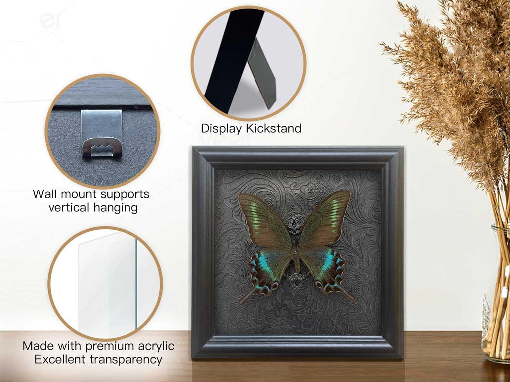 Real Framed Butterfly Specimen Shadow Box Taxidermy,Gothic Wall Decor, Taxidermy Butterfly Shadow Box Frame, Insect Taxidermy for Gothic Home Decor