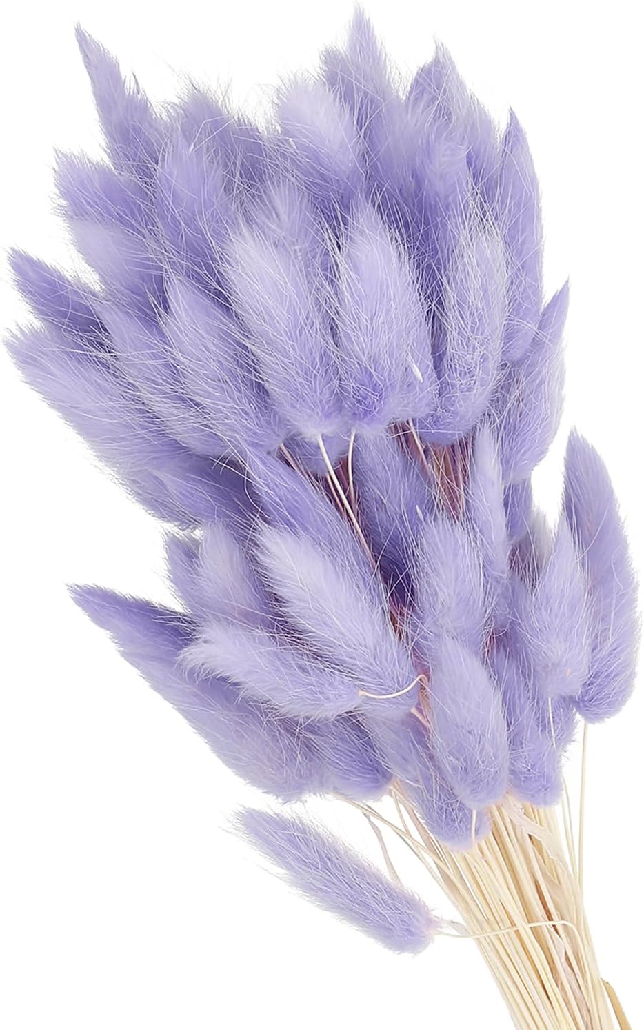 PATIKIL 15.7in Bunny Tails Dried Flowers, 120pcs Pampas Grass Decor Rabbit Tail Natural Pampas Grass Bulk Fluffy Faux Pampas Grass Dried for Home Boho Decor Vase Wedding Table, Purple