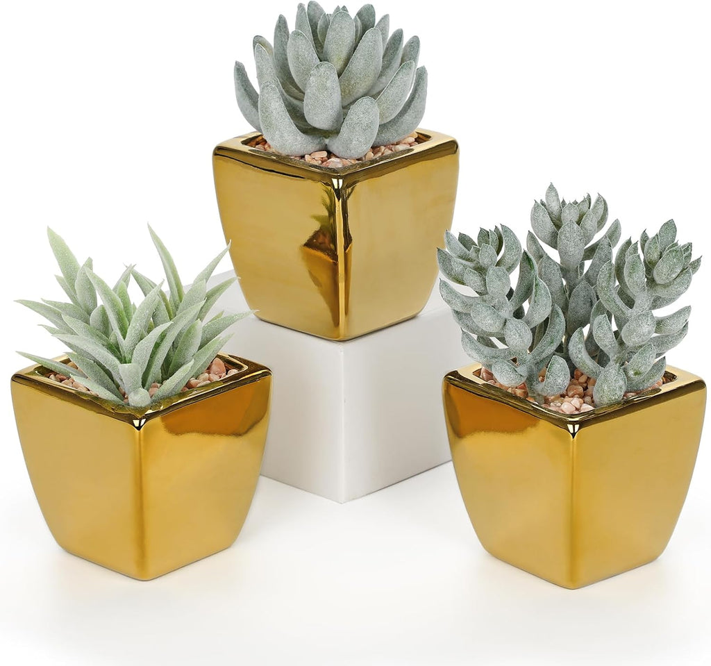 Hollyone Small Succulents Artificial 3 Pcs Faux Succulents with Gold Pots Mini Fake Succulent Plants Indoor Plant Ceramic Pots for Modern Office Desk Bathroom Shelf Living Room Home Decor Sage Green