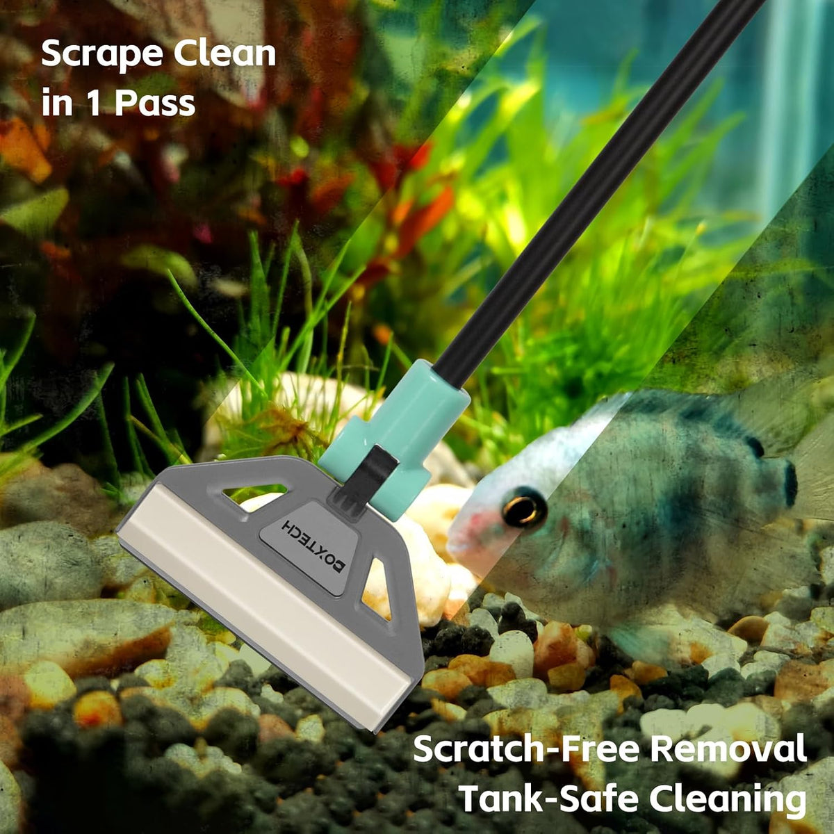 UPETTOOLS Aquarium Algae Scraper, Stainless Steel Glass Cleaner