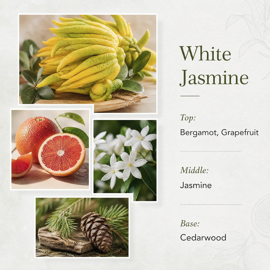 Reed Diffuser Set, White Jasmine, 6.7 Fl Oz, Home Fragrance