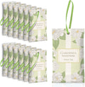 SCENTORINI Scented Sachets for Drawer and Closet, Gardenia Scent 14 Pack