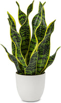 Hollyone Artificial Snake Plant Potted Faux Sansevieria Trifasciata Plants, 16.5" Tropical Fake Snake Plants in White Pots for Home Office Room Indoor Decor Housewarming Gifts