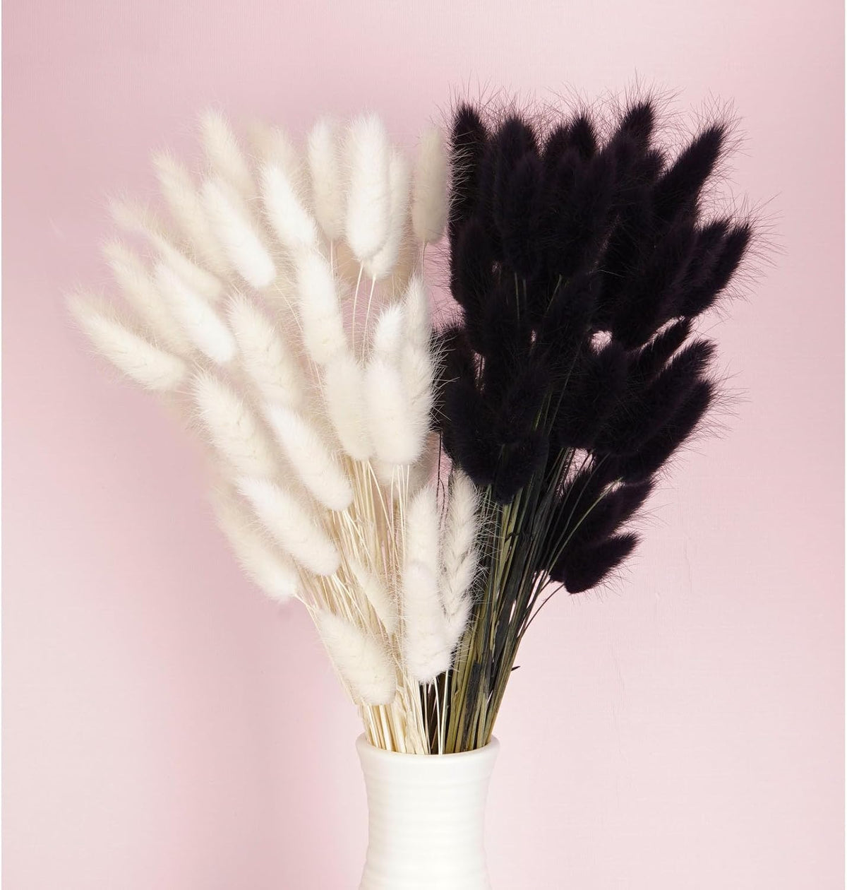 120pcs Bunny Tail Pampas Grass Dried Flowers for Vase Boho Flowers Dried Babys Breath Wedding Decor Dry Flowers for Vase (White 60PCS+Black 60PCS)