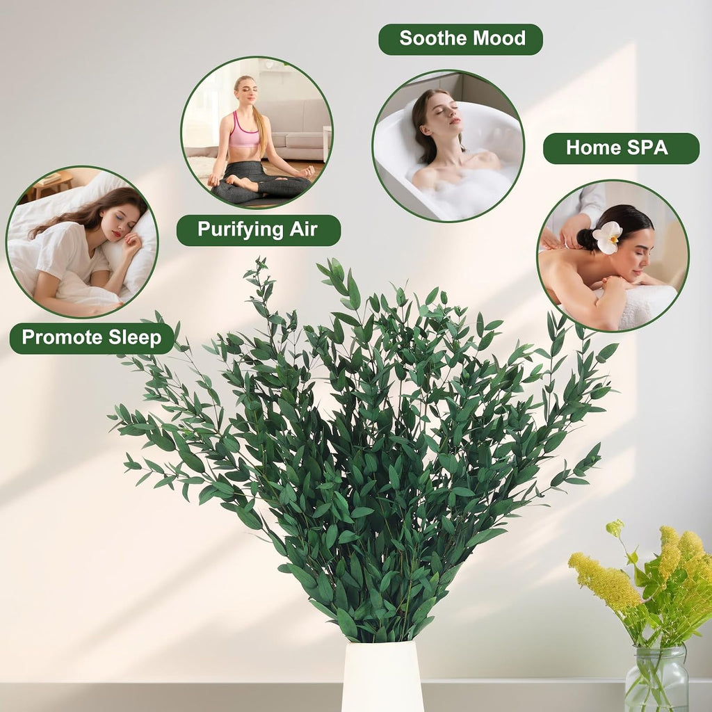 7-12 Pcs Preserved Eucalyptus Stems, 14-17" Greenery Leaves for Vase Filler