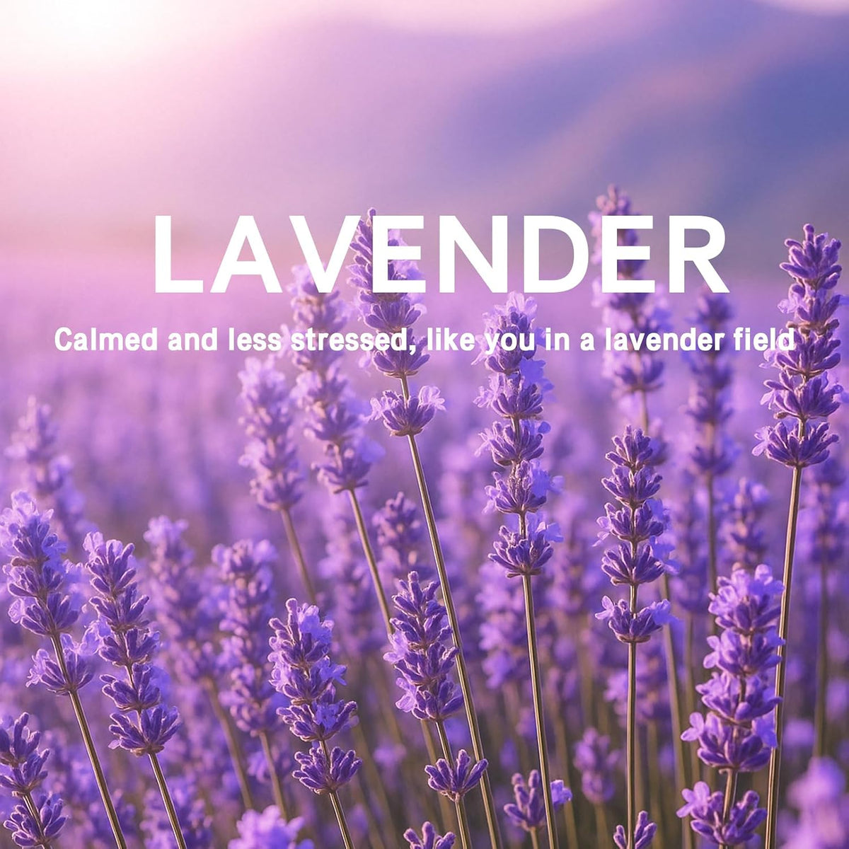 15 Packs Lavender Scented Sachets Bag for Drawers and Closets
