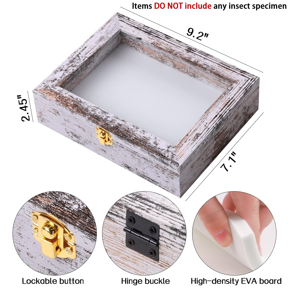 IHEIPYE Insect Display Case Bug Display Case Shadow Box Small Rustic White