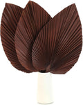 Large Dried Palm Leaves-17 Dried Palms Spear Plant Fans for Home Office Boho Decor | Tropical Wedding Decor | Party Table Decoration | Dried Wedding Flowers and Leaf Decor (Brown,3 Pcs)