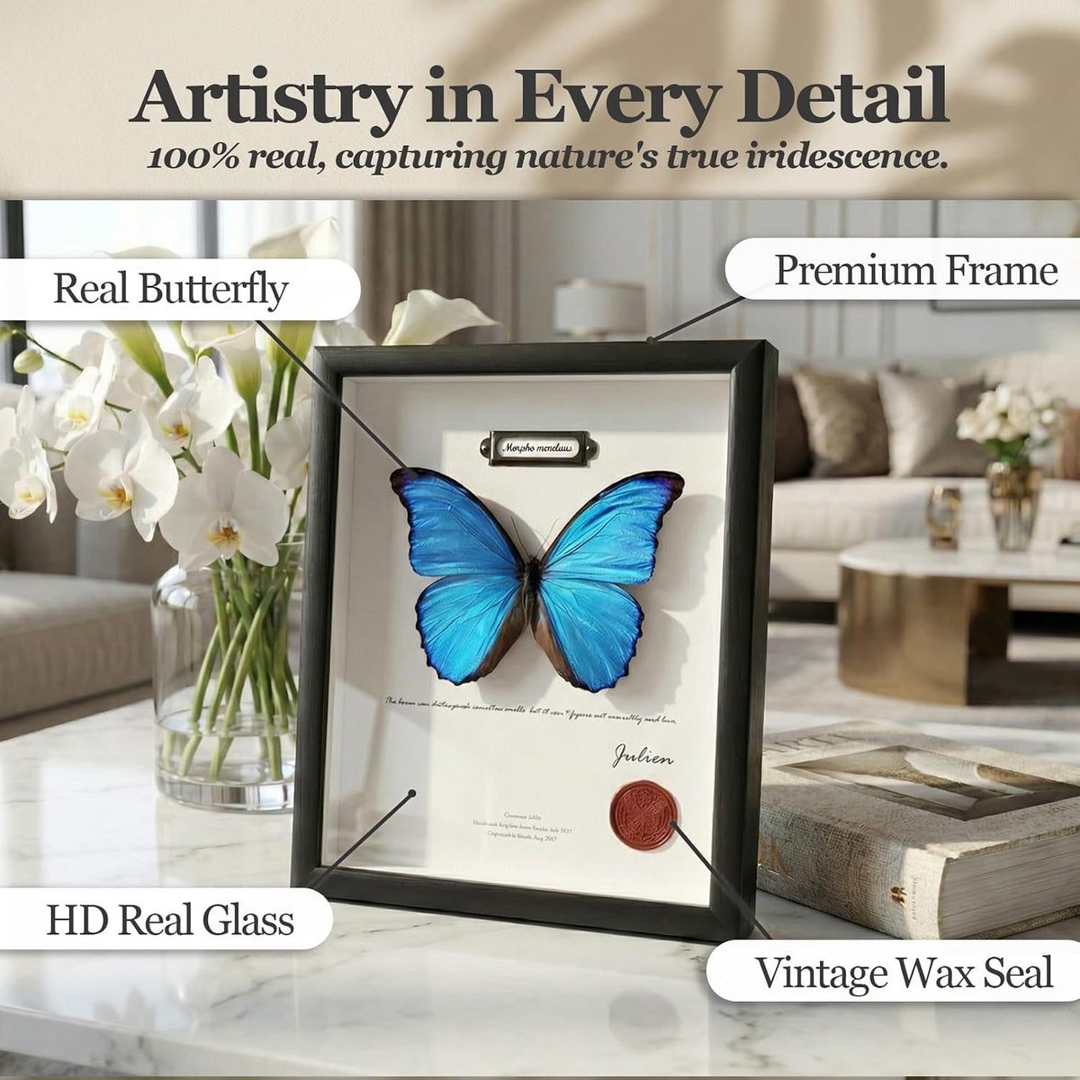 ArsVenciik Real Blue Morpho Butterfly Taxidermy