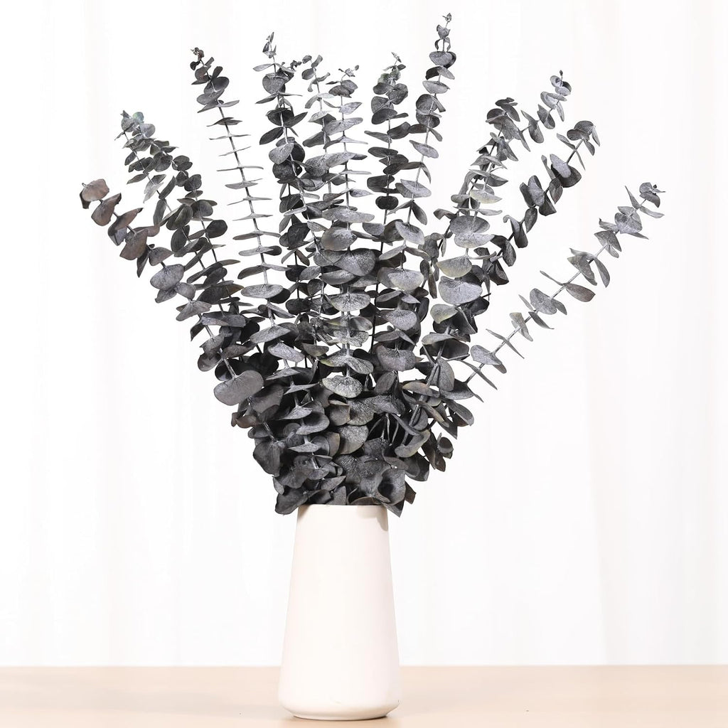 16 Pcs Dried Eucalyptus Stems, Preserved Black Plants for Shower Hanging