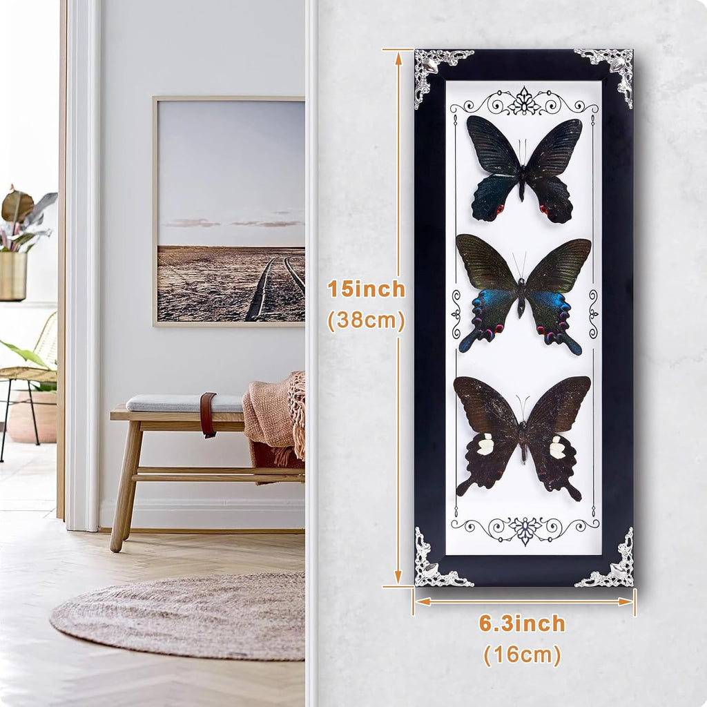 Framed 3 Real Butterfly Gothic Decor, 15.2"X6.5" Taxidermy Shadow Box Wall Decor for Witchy Home