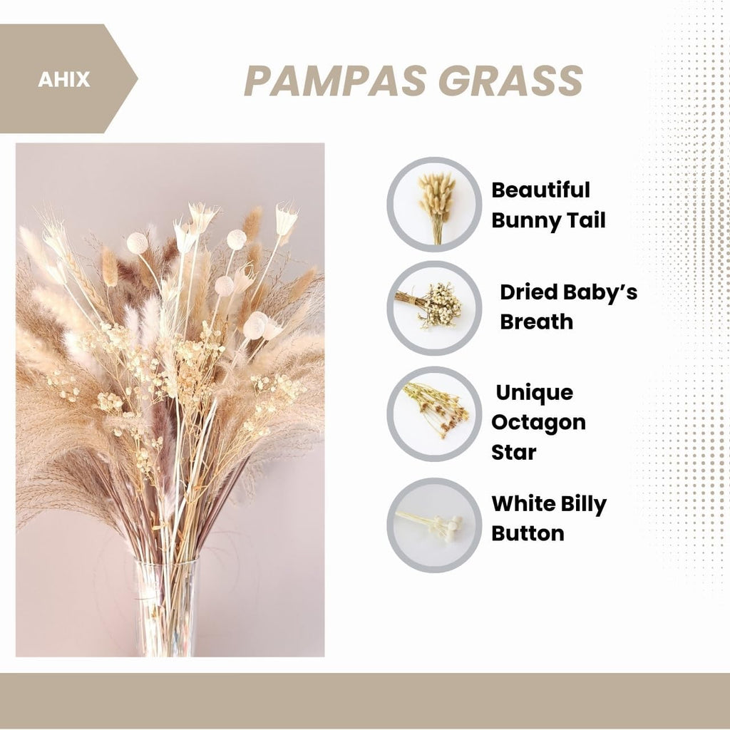 109 Pcs Natural Dried Pampas Grass Decor 17" Tall Pompas Flowers Bouquet and Dry Pampass Grass for Home Decorations, Plants Boho Decor, Phragmites Wedding Decoration Arrangements (109)