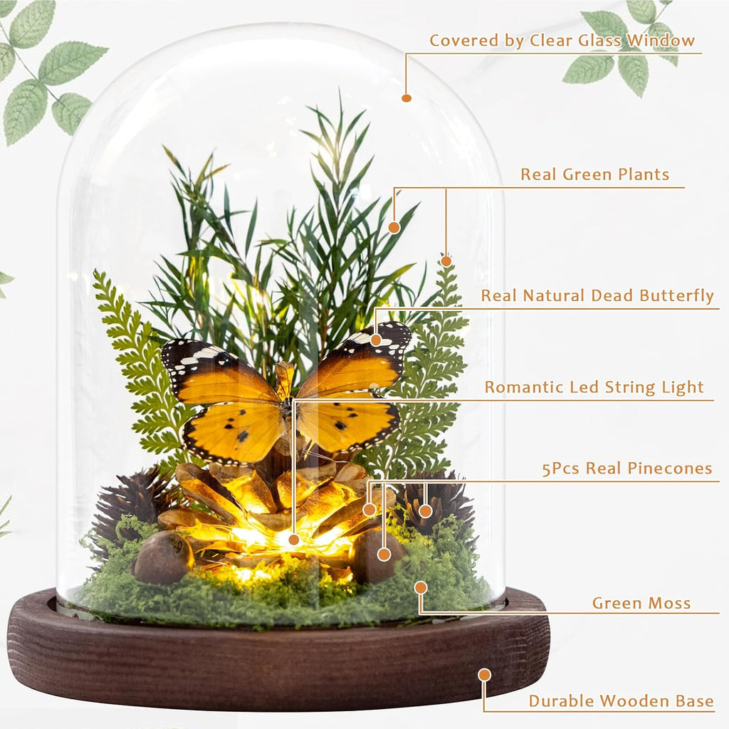 Glass Taxidermy Butterfly Shadow Box, Butterfly Gifts for Women Girls with Glass Cover, Light Up Butterfly Decor for Bedroom Office Living Room Desk (Not Include Battery)