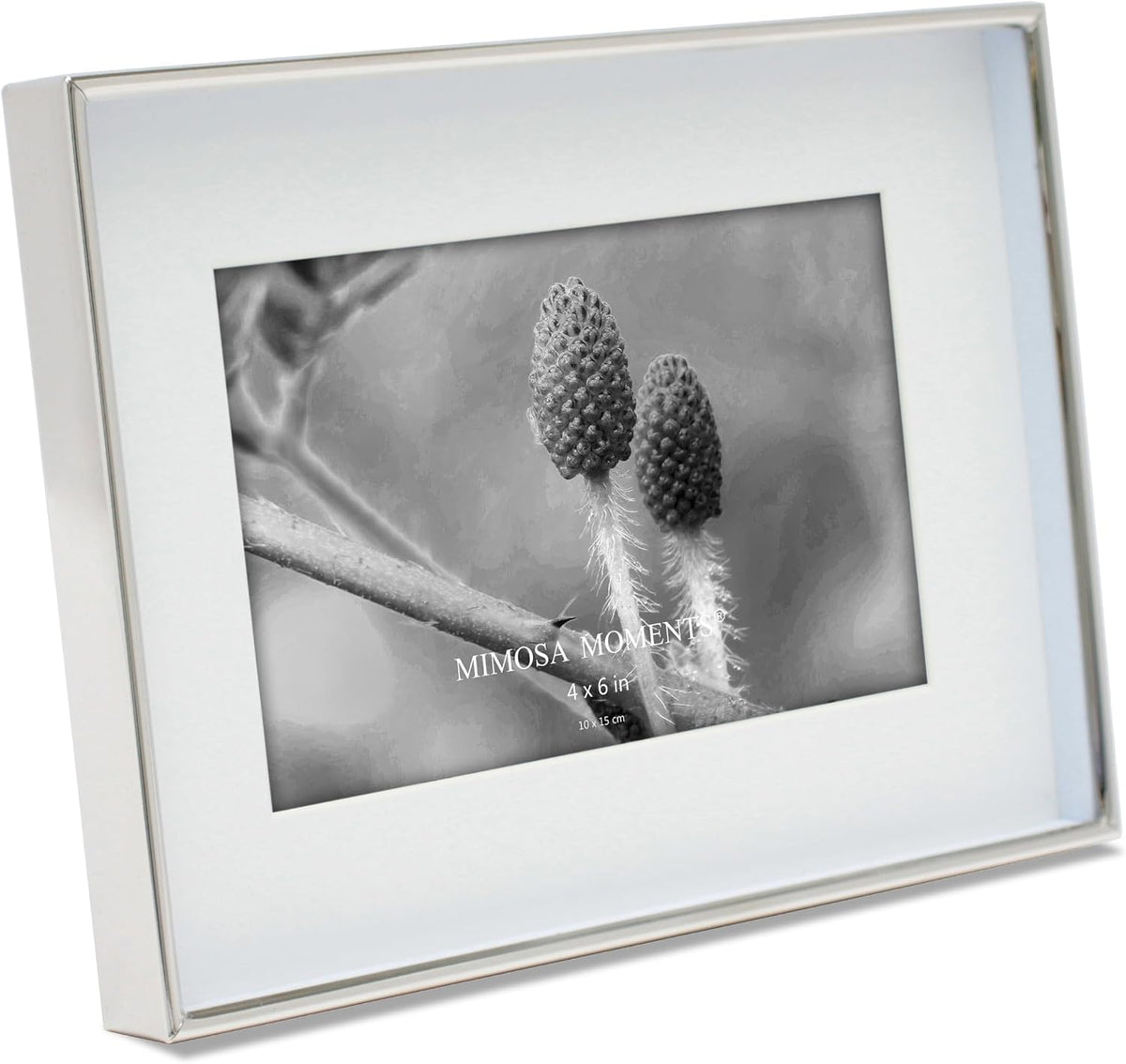 6x8 Silver Shadow Box Metal Picture Frame with 4x6 Photo Mat