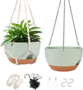 2 Pack 12 Inch Self Watering Hanging Planters for Indoor Outdoor Plants