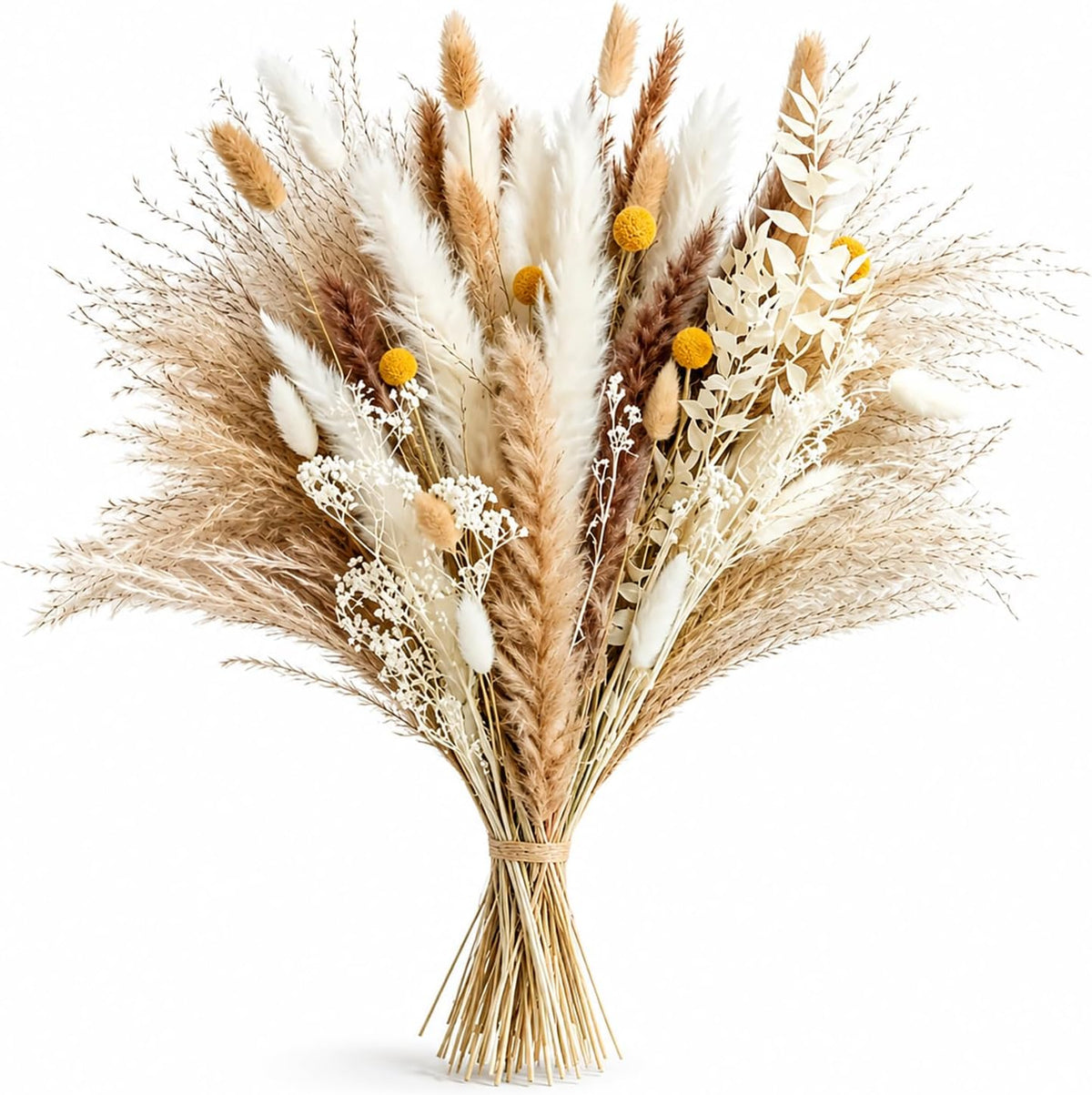 Dried Pampas Grass Bouquet, Phragmites Dried Flowers, Boho Rustic Floral Arrangement for Vase, Wedding Party Table Centerpiece, Farmhouse Modern Home Decor for Living Room Bedroom Office