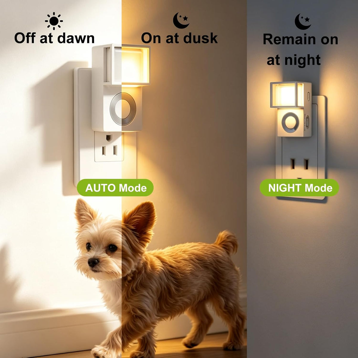 Plug in Night Light with Motion Sensor and Dusk to Dawn Sensor,2 Pack