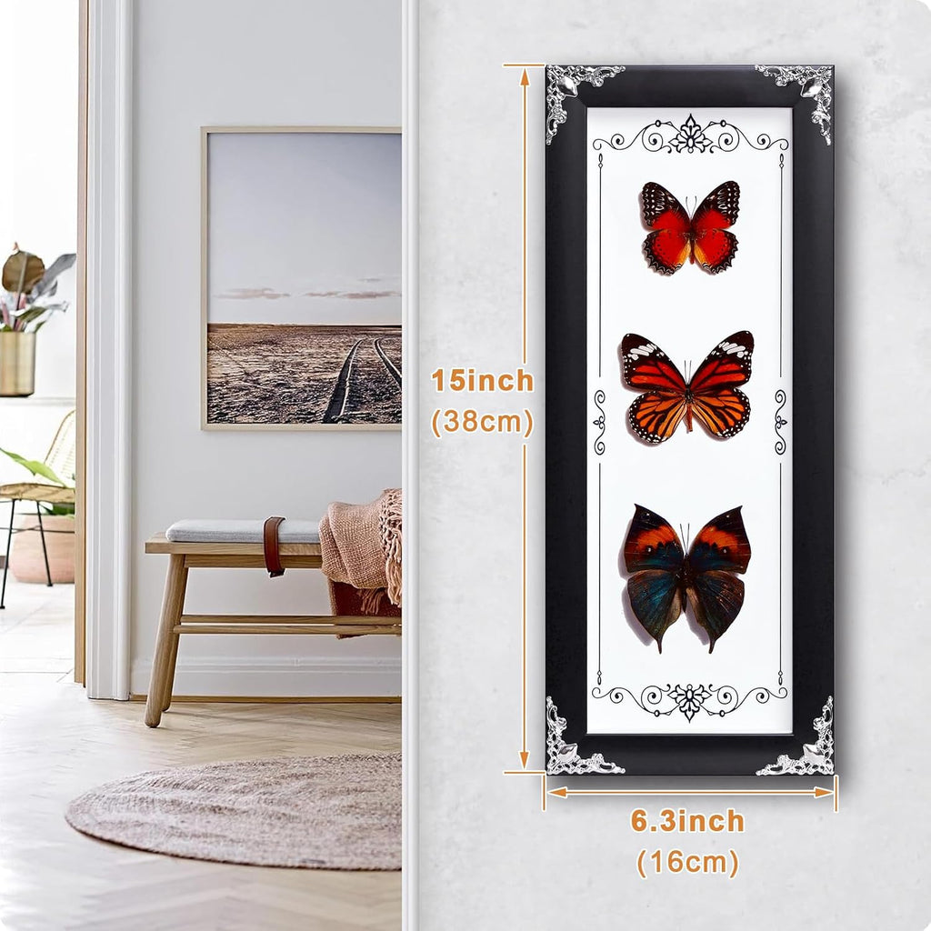 Framed 3 Real Butterfly Gothic Decor, 15.2"X6.5" Taxidermy Butterfly Shadow Box Wall Decor, Framed Butterfly Taxidermy for Witchy Home Decor