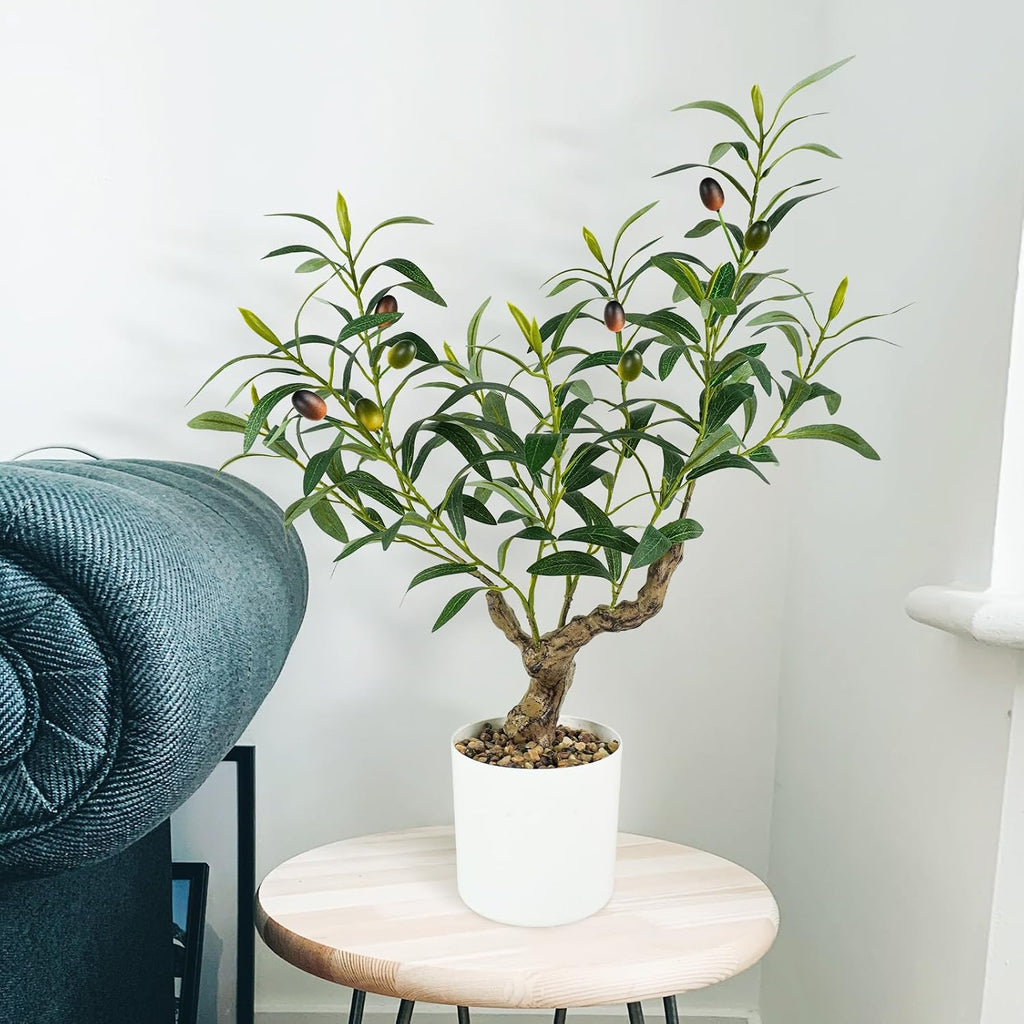 Caxchiling Artificial Olive Tree 2FT, Faux Potted Tree Indoor