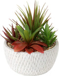Briful Small Fake Plants Assorted Faux Succulents in Pots Realistic Succulents Plants Artificial with Cement Pots for Home Table Office Desk Bathroom Shelf Living Room Decor