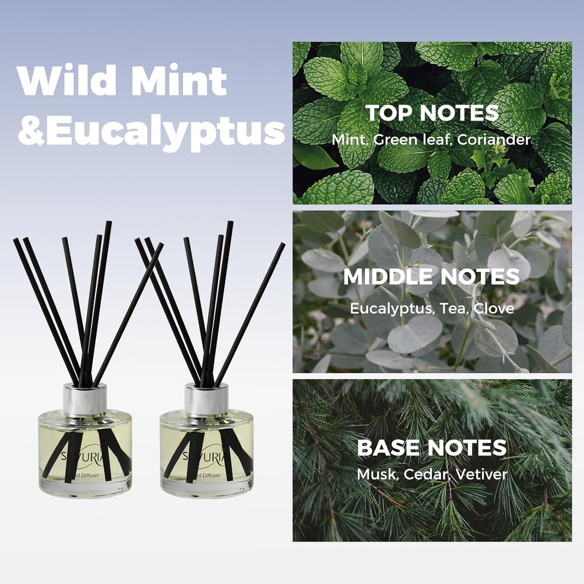 2-Pack Reed Diffuser Set,Wild Mint & Eucalyptus Scented