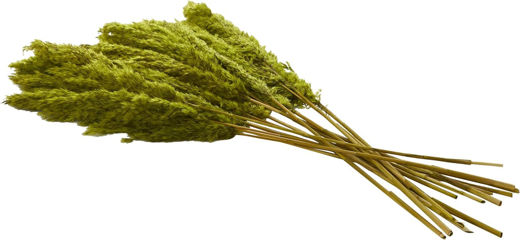 Deco 79 Dried Plant Pampas Home Decor Natural Foliage Natural Dried Foliage with Long Stems, Foliage for Decoration 2" x 1" x 35", Green