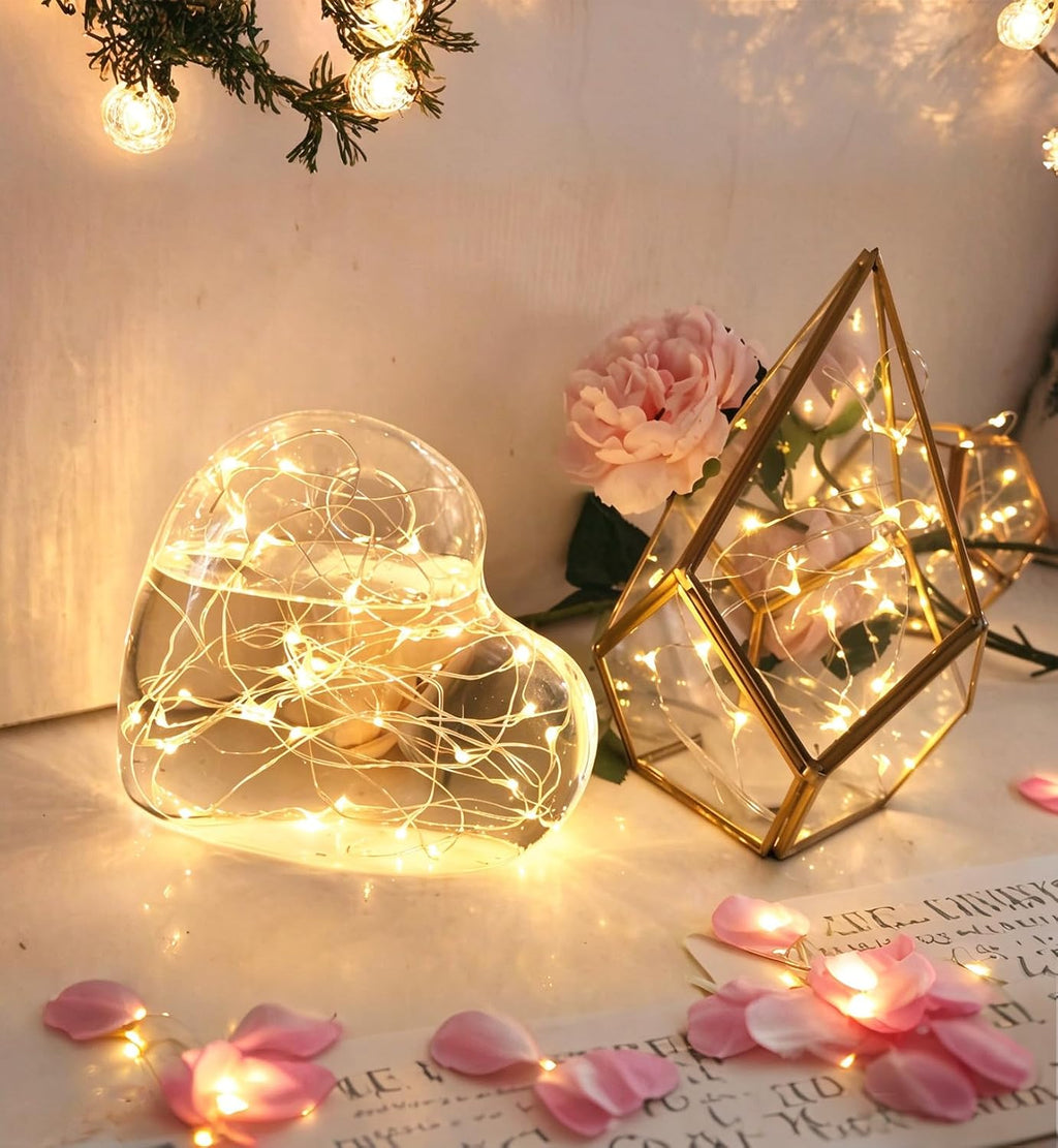 6 Pack Fairy Lights Battery Operated With Timer,2 Remotes,20 LED Warm White