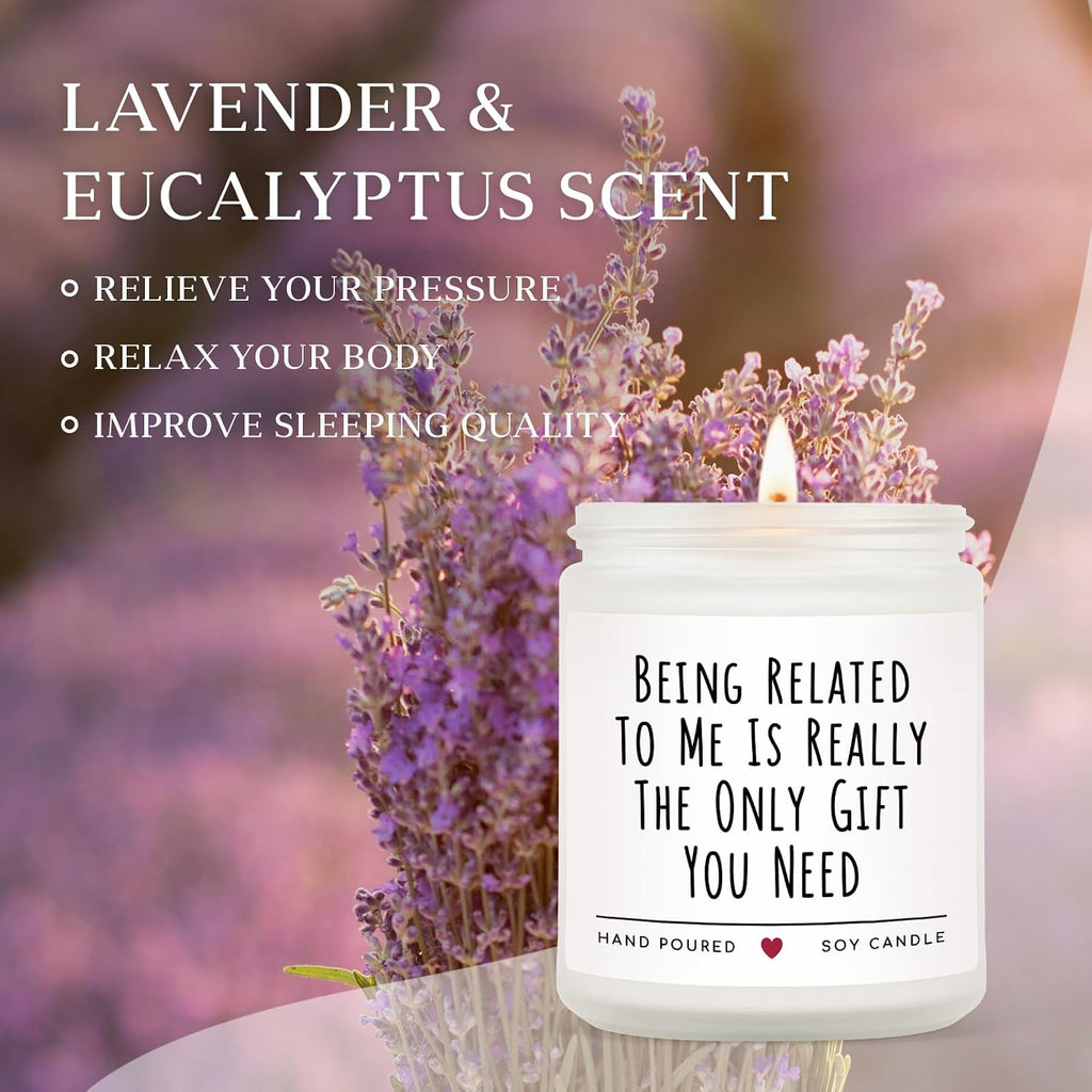 Funny Gifts for Brother, Brother Birthday Gifts, Brothers Gift from Sister, Soy Wax Lavender Candles for Siblings, Sister, Nephew, Friends