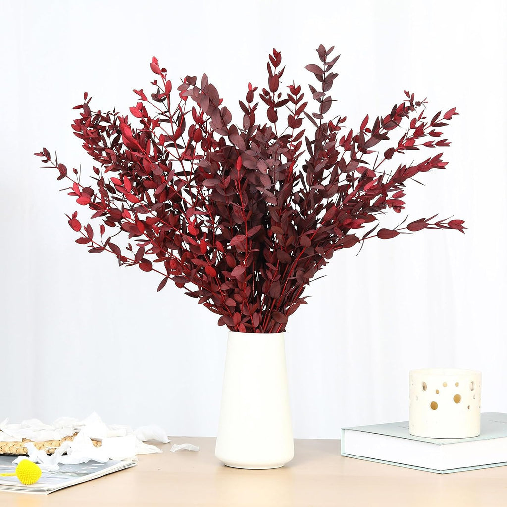 Dried Eucalyptus Leaves Stems, Preserved Real Eucalyptus Plant, Dried Willow Branches Bundle for Wedding Wreath Home Fragrance Vase Filler Bathroom Decor, Fall Arrangement Decorations (Red, 3oz)