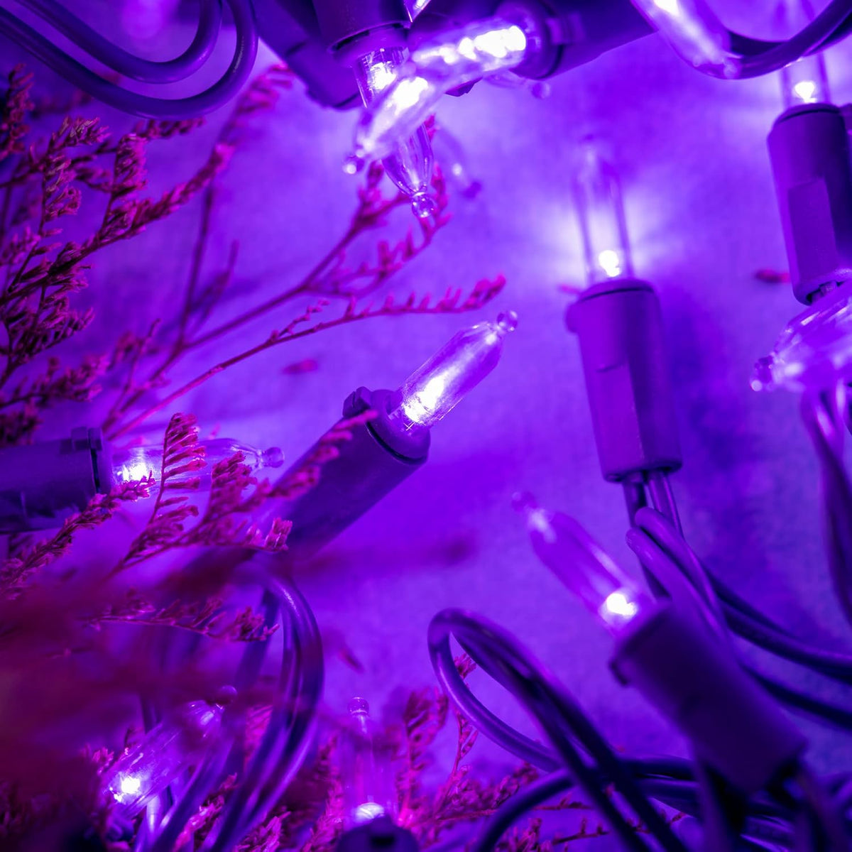 YULETIME 200 Purple Christmas String Lights, 2-Set 33' 100 LED Purple Wire