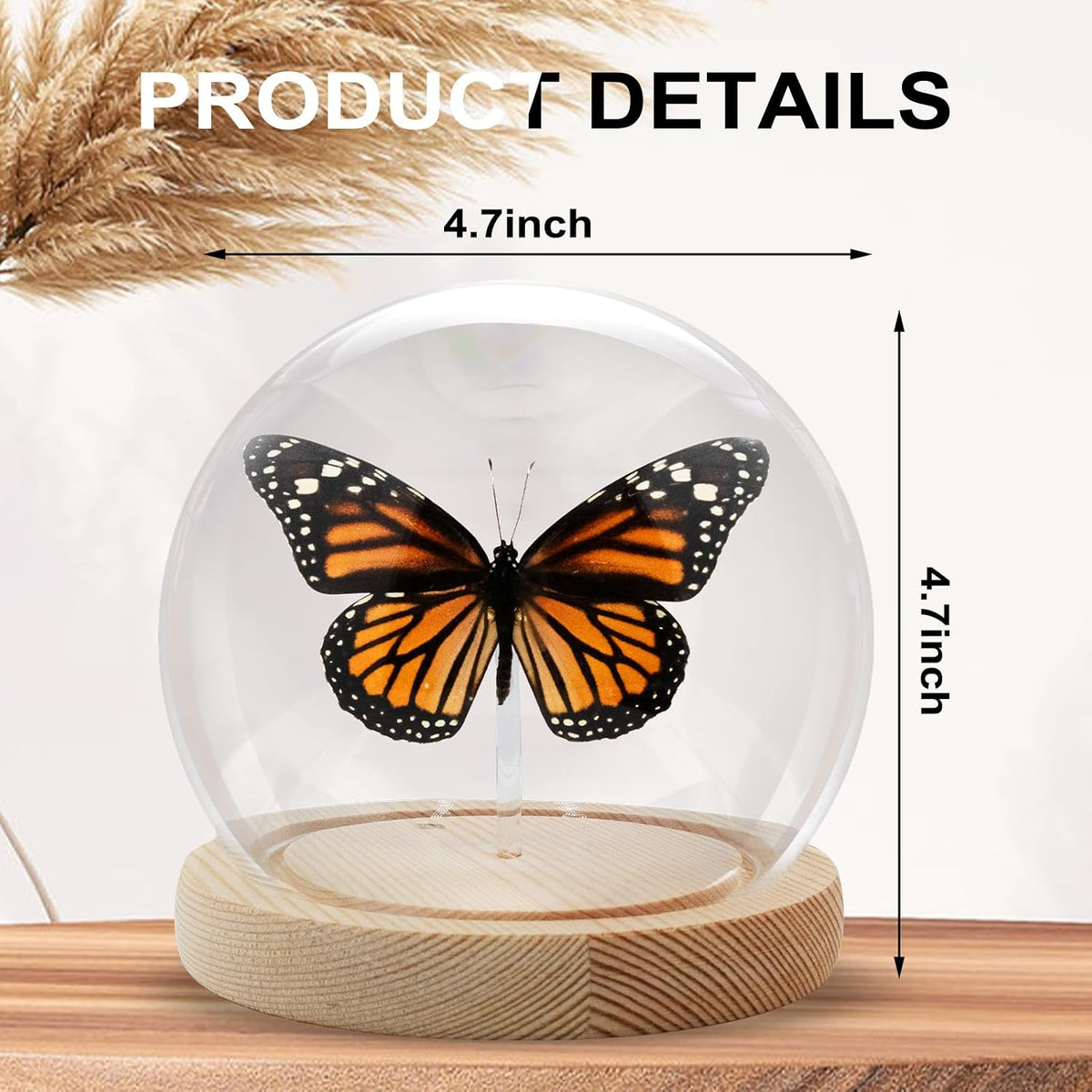 Monarch Butterfly Framed Decoration - Handmade Glass Shadow Box Insect Frame for Butterfly Collectors - Tabletop, Wall Art,Live Room,Gothic Home Decor(Glass Ball)