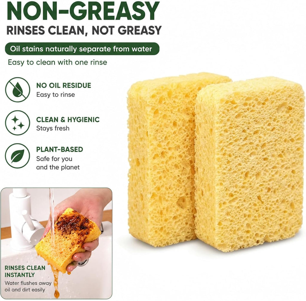 Kitchen Sponges, 20 Count, Plant-Based Cellulose + PET Scrub Sponge Set, Scratch & Non- Scratch Dish Sponges, Assorted Cleaning Sponges