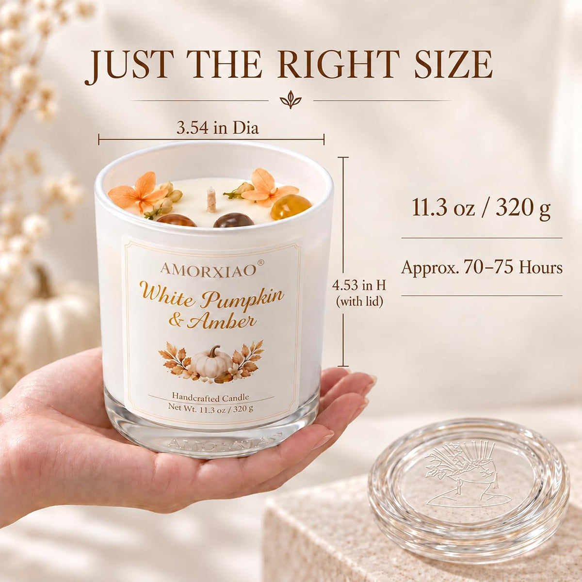 Pumpkin & Amber Scented Candle, 11.3 Oz Soy Wax Fall Candle Gift for Women