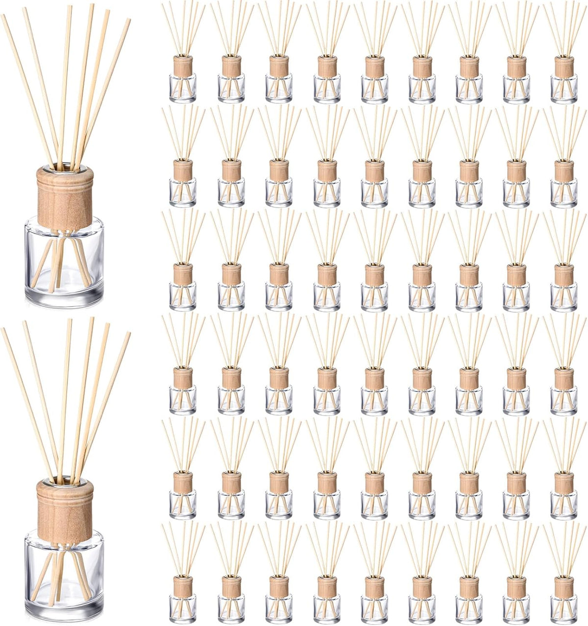 Roshtia 60 Set Reed Diffuser Bottles Empty, 50ml Bottles with Sticks