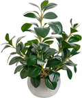 AlphaAcc 17" Artificial Ficus Cement Pot Home Kitchen Office Decor
