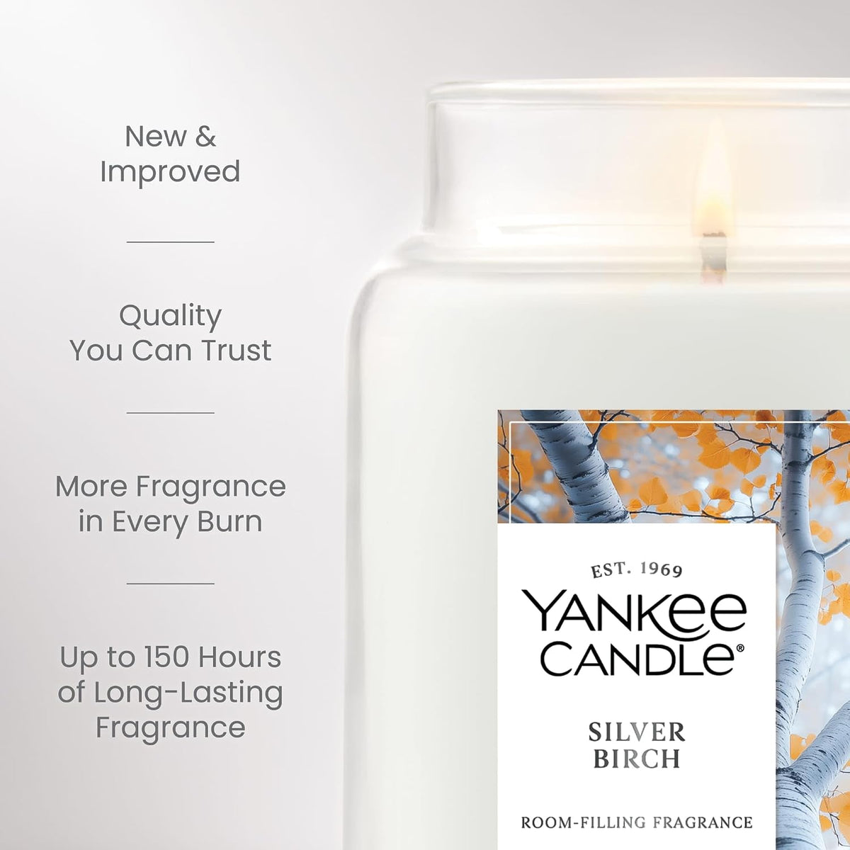 Yankee Candle Silver Birch Scented Candle, 22oz Large Jar