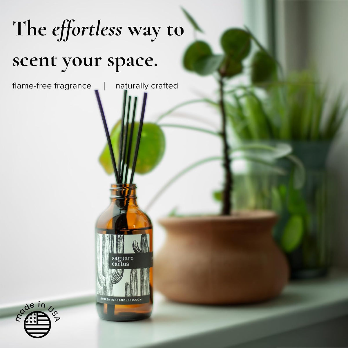 BROKEN TOP Natural Reed Diffuser Set (Saguaro Cactus)