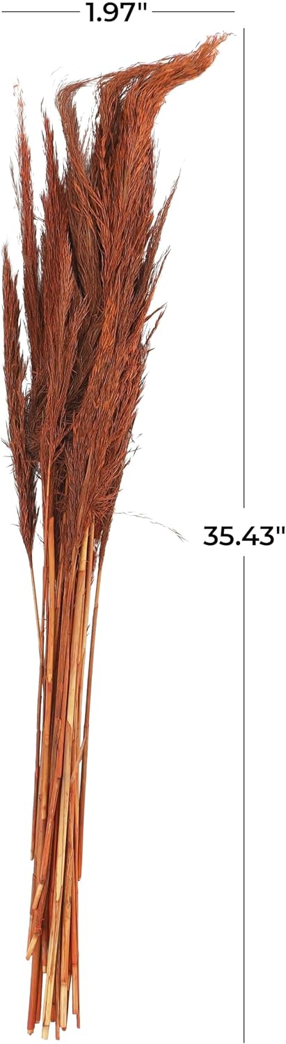 Deco 79 Dried Plant Pampas Grass Natural Foliage Tall , 2" x 1" x 35", Orange