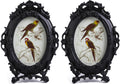 SIKOO Ornate Picture Frame 4x6 Antique Frames Vintage Frames Tabletop and Wall Mount Oval picture Frame, Victorian Home Decor, Black (Pack of 2)