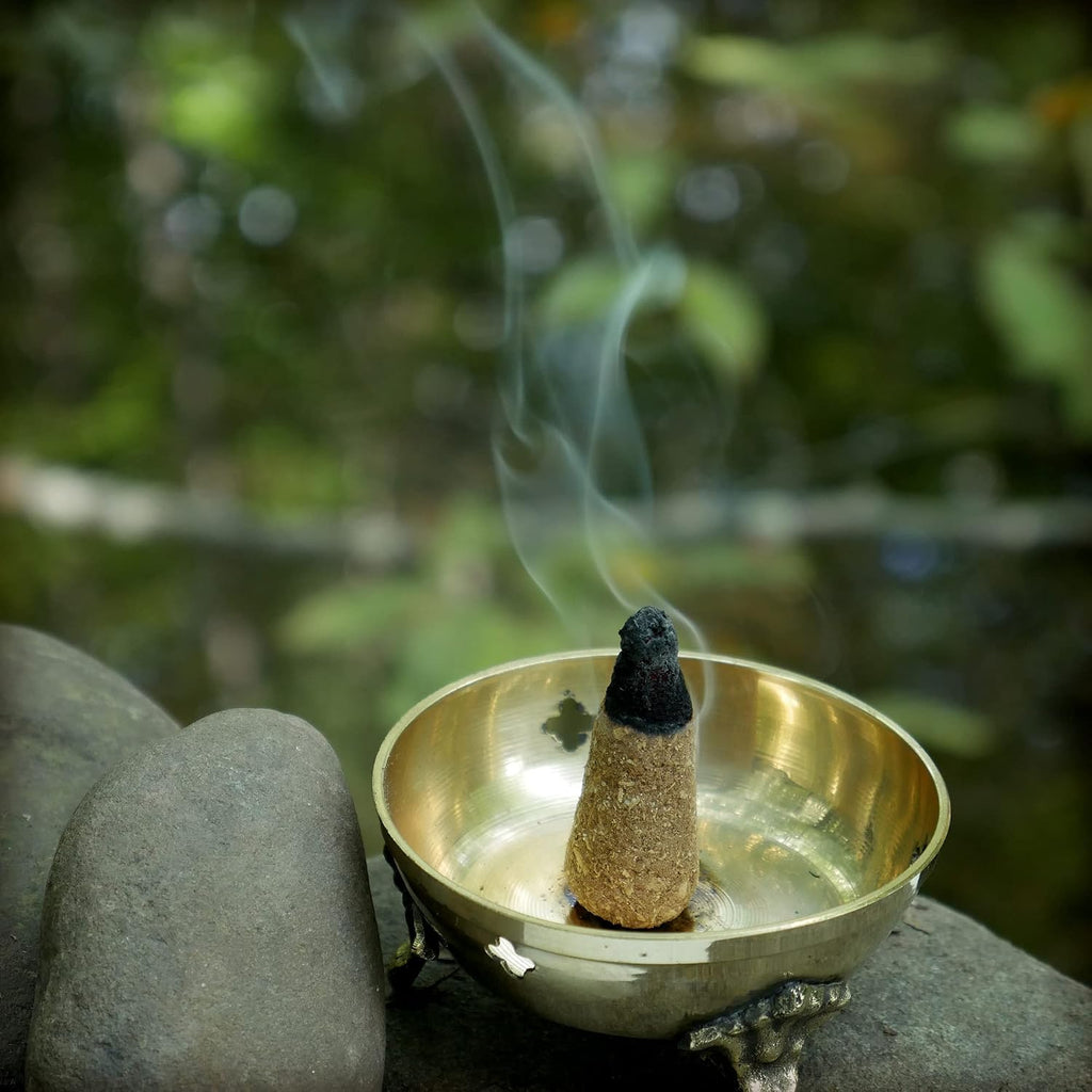 Prabhuji's Gifts Palo Santo Incense Cones - Traditional - Handmade Natural Incense Cones - Palo Santo Cones - Spiritual Incense - Holy Wood Incense - Power & Purification - (6 Cones)