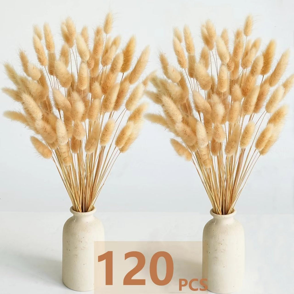 120 PCS Nature Dried Pampas Grass Decor, 17-inch Pompas Floral, Dry Flowers for Decoration, Pampas Grass in Bulk Tall, Nature Bunny Tails Dried Flowers for Boho Wedding Decor