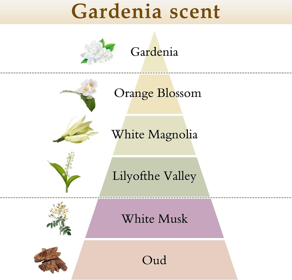 XEPTLE Reed Diffuser Set, 7.04 oz Creamy Gardenia Scent Diffuser with 5 Sticks, Long Lasting Air Freshener, Essential Oil Reed Diffuser, Home Fragrance for Office, Bathroom Shelf Decor, White