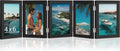 DUENPY 5 Folding 4x6 Accordion Wood Frame Plexiglass Black