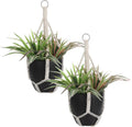 2 Pack Handmade Macrame Plant Hangers, Hanging Planters Baskets