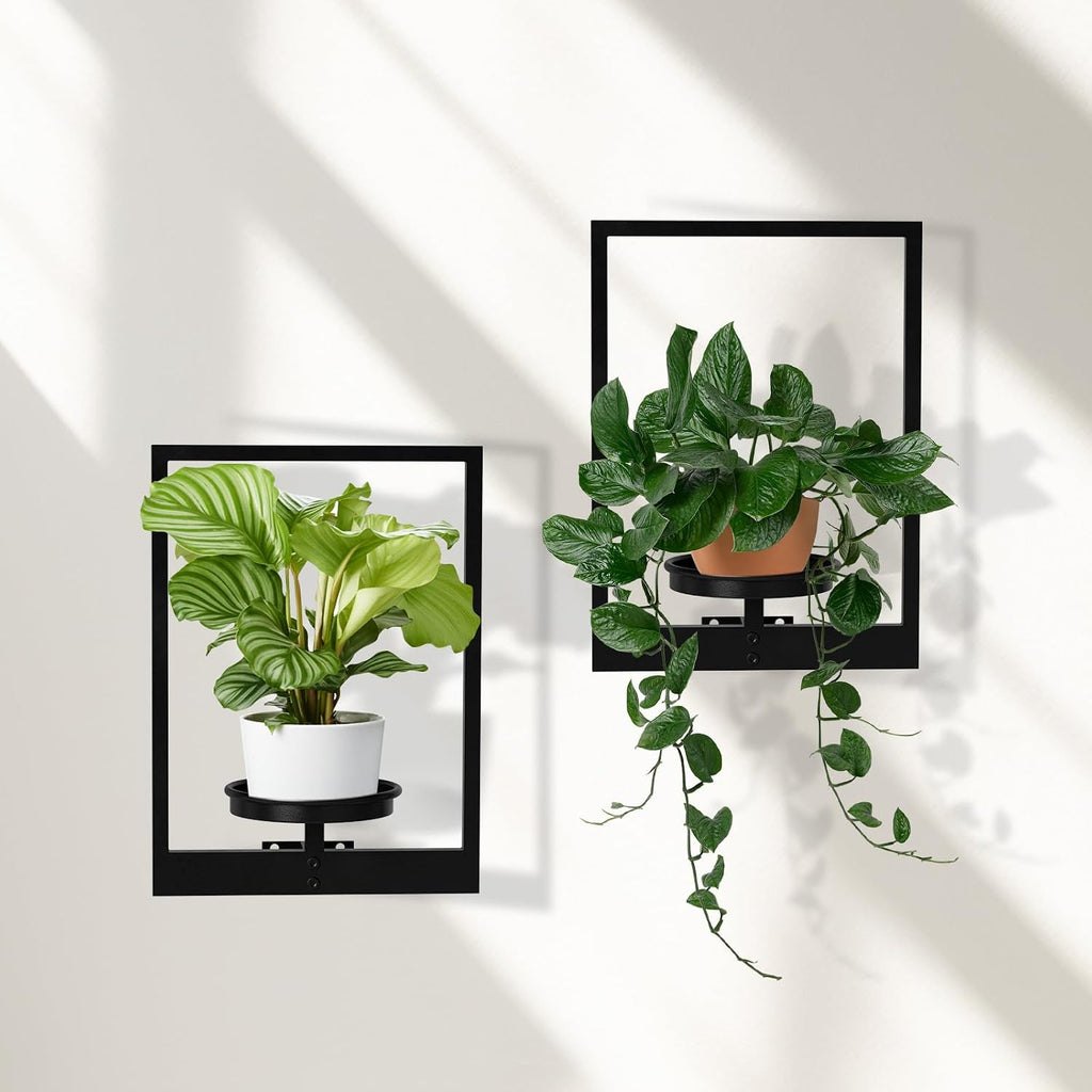 Wall Plant Holder Floating Plant Shelves for Wall Set of 2, Wall Planters for Indoor Plants - Premium Metal Hanging Plant Holder for Indoor Outdoor Decor
