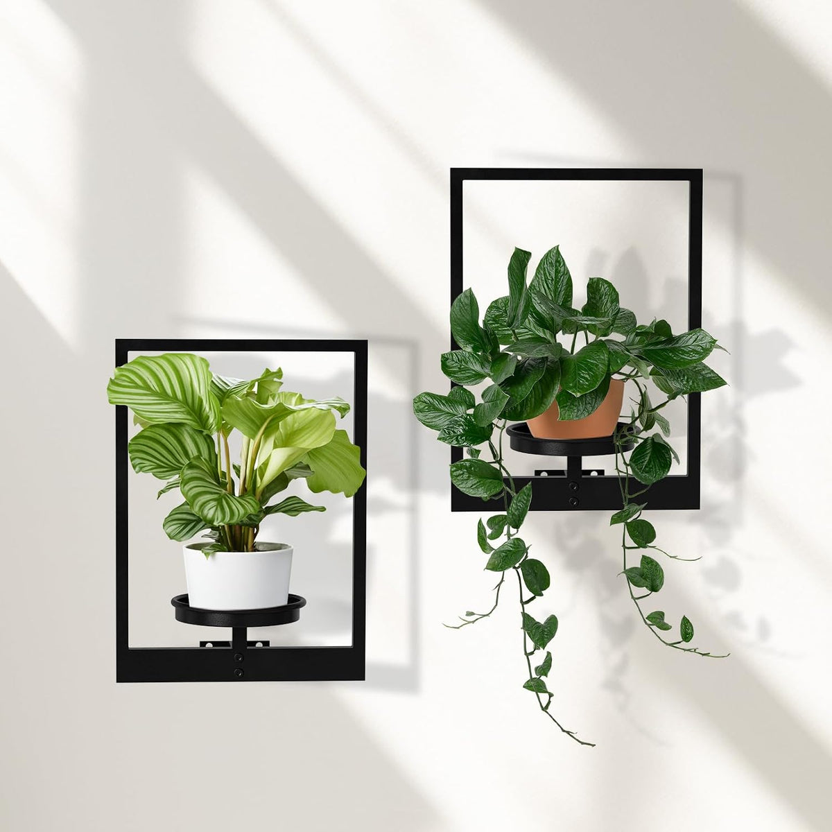 Wall Plant Holder Floating Plant Shelves for Wall Set of 2, Wall Planters for Indoor Plants - Premium Metal Hanging Plant Holder for Indoor Outdoor Decor