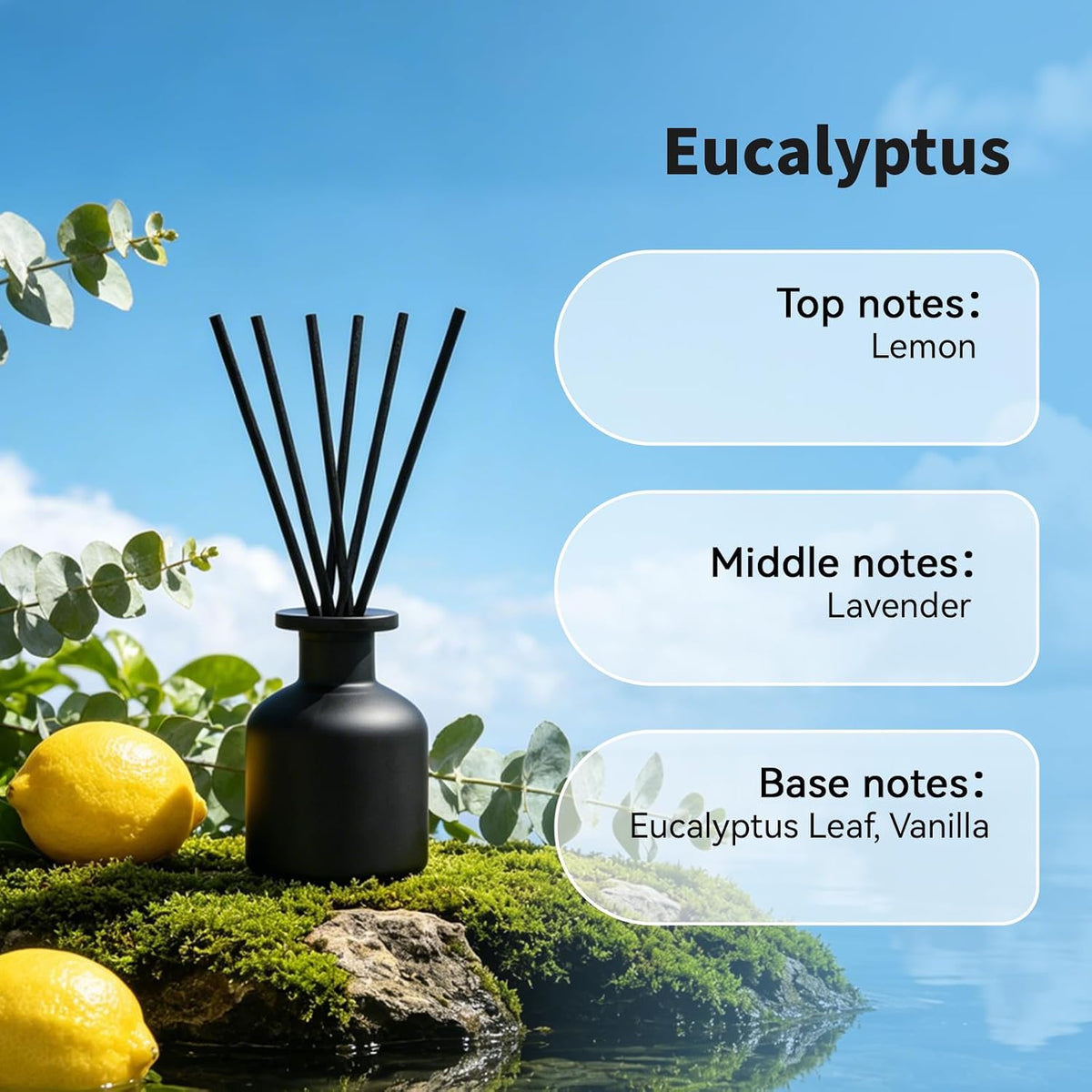 Brakula Reed Diffuser Set, Eucalyptus Scent, 4.06 fl oz Essential Oils