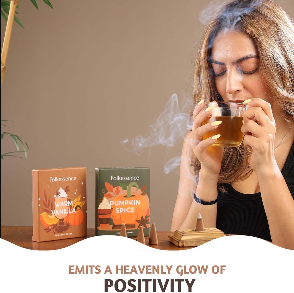 Folkulture Vanilla & Pumpkin Spice Fall Incense Cones Set of 2 (30 Cones)