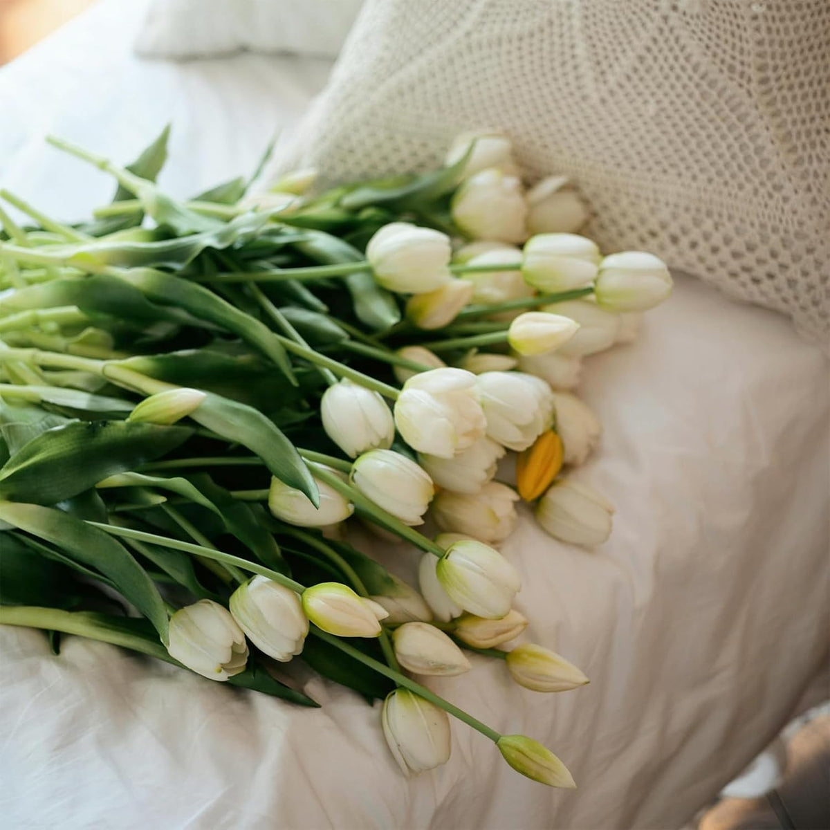 10 Pcs Fake Tulips Tulips Artificial Flowers(White)